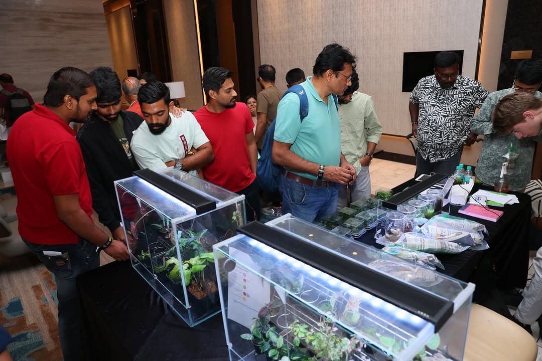 High Tea Conversations